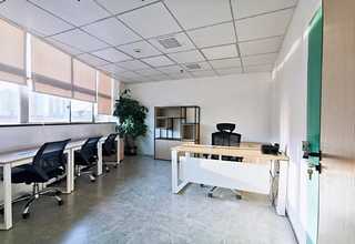 潮阳区树木红火蚁公司