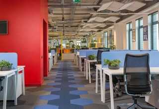 上海质粒转染试剂购买