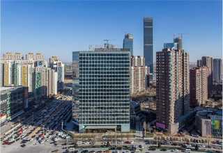 安徽五指连动仿生手怎么样