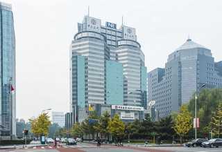 海口生榨椰子汁哪个品牌好