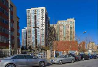 河南常见锁螺丝机出厂价