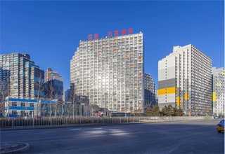 东北胡萝卜贮藏